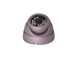 TYD-715 Purple Metal Conch Dome Camera